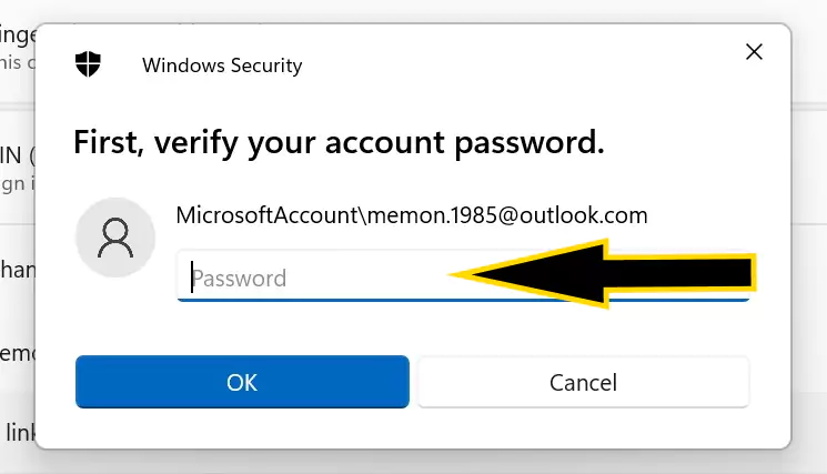 enter-your-microsoft-account-password-or-local-account-password
